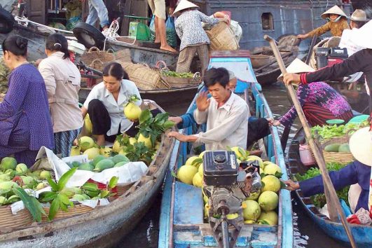 Mekong Delta